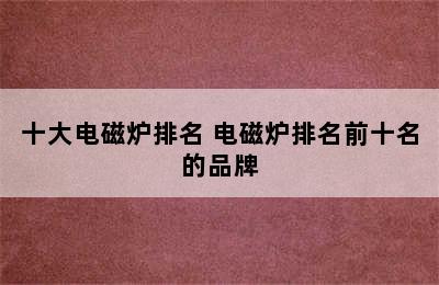 十大电磁炉排名 电磁炉排名前十名的品牌